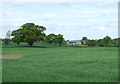 SO7895 : Crop field near Hilton in Shropshire by Roger  D Kidd