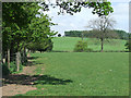 Footpath through Fields, Bradney, Shropshire