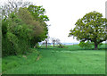SO7895 : Footpath through Crop Fields, near Rudge Heath, Shropshire by Roger  D Kidd