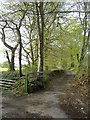 Road to Crofft-yr-haidd