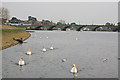 River Itchen looking towards Cobden Bridge, Southampton