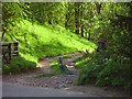 Gate on track to Pittachan, with peacock