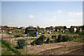 Allotments