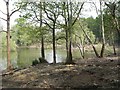 Pond on Higbirch Hill