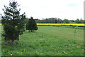 SO7795 : Field Development near Bradney, Shropshire by Roger  D Kidd