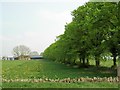 Chadlington Downs Farm