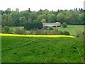 Across the valley towards Talbot Hall