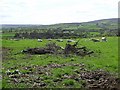 Brackfield Townland