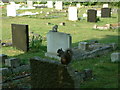 Woodman Road Cemetery, Brentwood