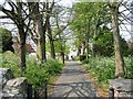 Path through the churchyard, St Clement