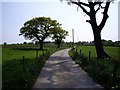 Footpath along farm road from Oat Eddish Farm