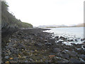NM8837 : Looking northeast along the rocky western shore of Ardmucknish Bay by John McLuckie
