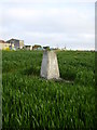 Triangulation Pillar  near Sandlands Farm Kirby Misperton