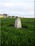 SE7878 : Triangulation Pillar  near Sandlands Farm Kirby Misperton by Phil Catterall