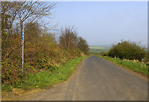 NU0639 : Lane above Fenwick by Phil Champion