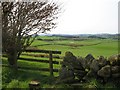 Pasture between Durisdeermill and Enterkinfoot