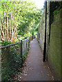 Footpath to The Pells