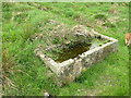 Spring and Trough Alden Valley