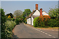 Woodman Lane, Sparsholt