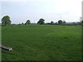 Field with steam from Chirk in the distance.