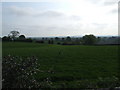 Fields - Looking towards Pentre-Dafydd