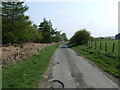 Between Caemor Wood and Tyn-y-rhyd Wood