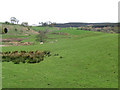 Farmland near Overlaggan