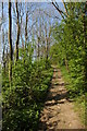 The Worcestershire Way on Pudford Hill