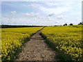 Footpath to Raithby