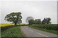 Country road near Anwick