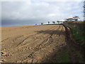 Land ready for potatoes