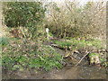 Tributary of Helford River