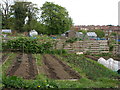 Allotments adjacent to The A139