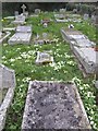 Graves in Mabe churchyard