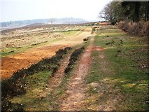 SU1912 : Hasley Hill Inclosure Boundary Footpath by Gillian Thomas
