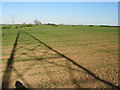 NZ3619 : Pylon shadow on arable land. by Carol Rose