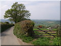 Lane from Bowden Down