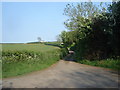 Looking back from the end of the lane