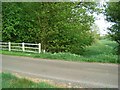 Footpath besides brook