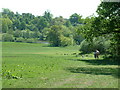 Weald Country Park, Brentwood