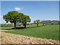 Farmland north of Kilvington Hall