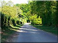 The road from South Lynch towards Standon, Hants