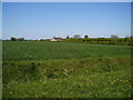 A view towards Poaches Patch - Metheringham Low Fields