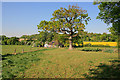 Footpath from Sparsholt as it approaches the Stockbridge Road