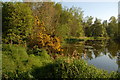 Kinnegoe Pond near Lurgan