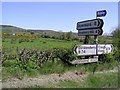 Road signs at Glenshane Road