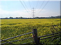 Countryside SW of Upsall