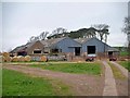 Cattle Shed at Wideopen