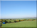 View back across the field towards the stile