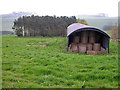 Agricultural Storage Shed at Wideopen